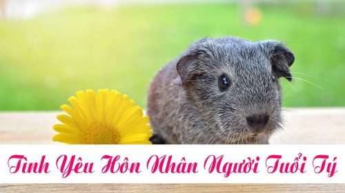 Xem đường tình duyên của người nam, nữ tuổi Mậu Tý, Bính Tý, Giáp Tý, Canh Tý và Nhâm Tý